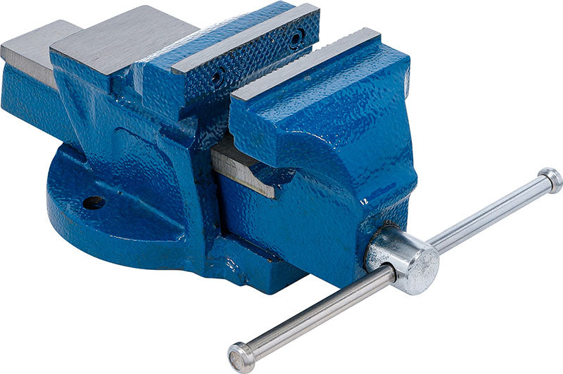 MORSA DA BANCO BGS IN GHISA DA 80 A 150mm