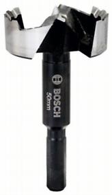 Punte Forstner Bosch Professional