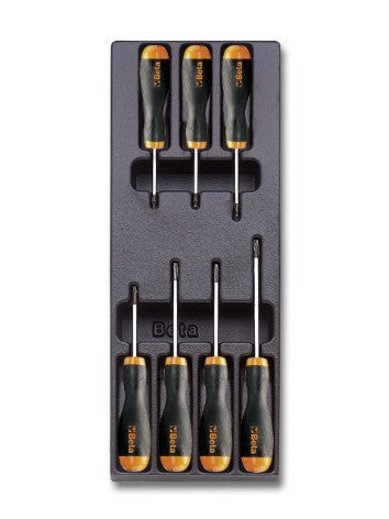 Termoformato Set Giraviti BetaEasy Torx Beta T215